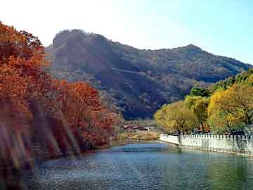 新澳天天开奖资料大全旅游团，免费的言情小说